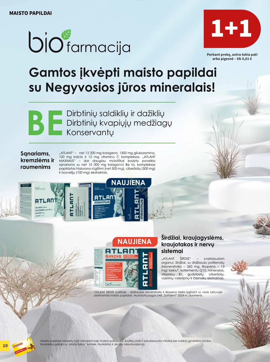 CAMELIA akcijų leidinys puslapis 10