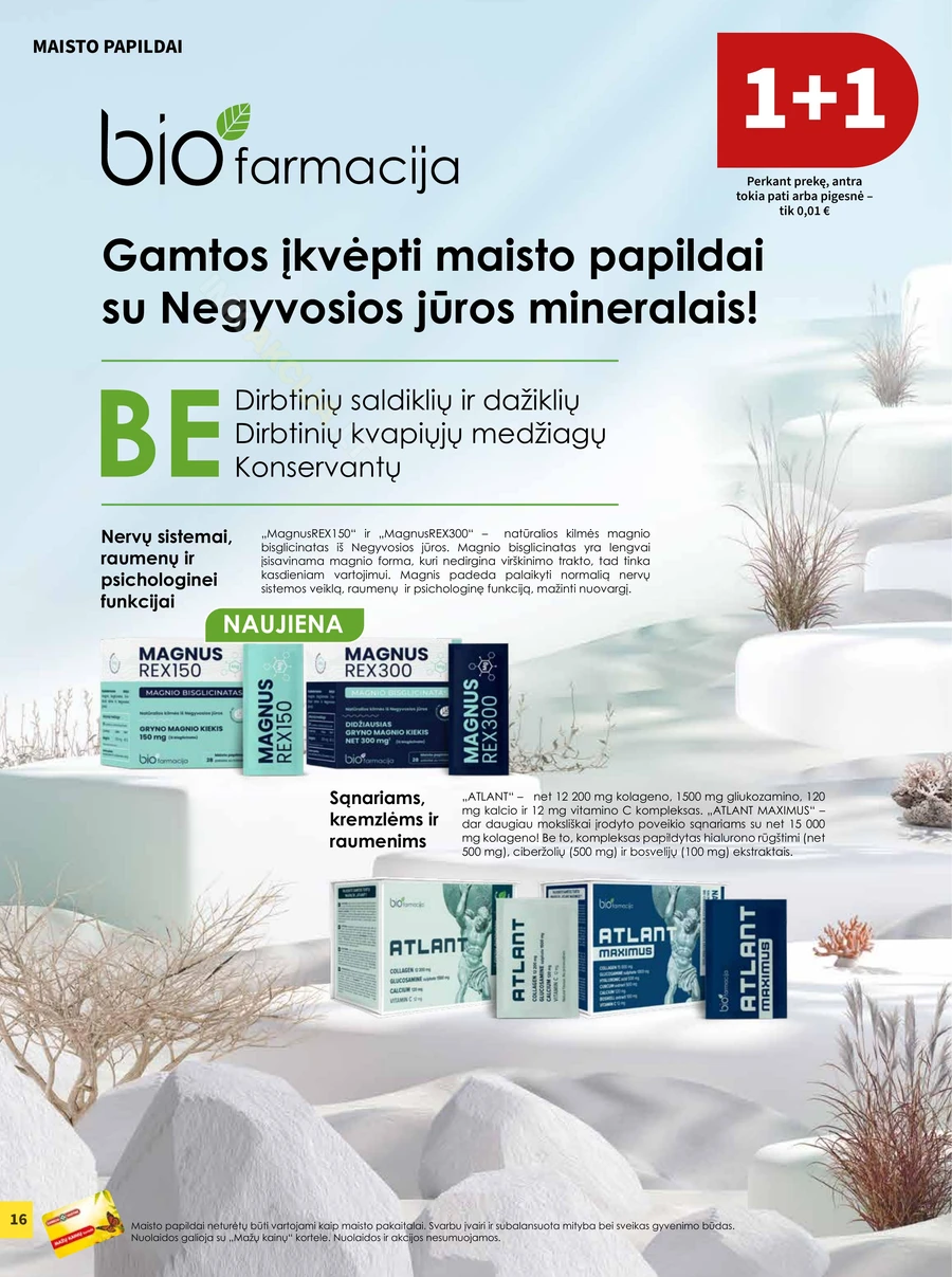 CAMELIA akcijų leidinys puslapis 16