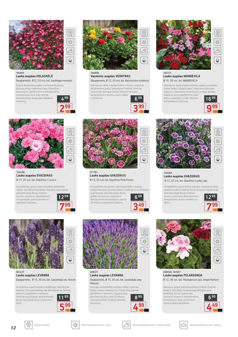 ERMITAŽAS pavasario katalogas 2026 puslapis 12