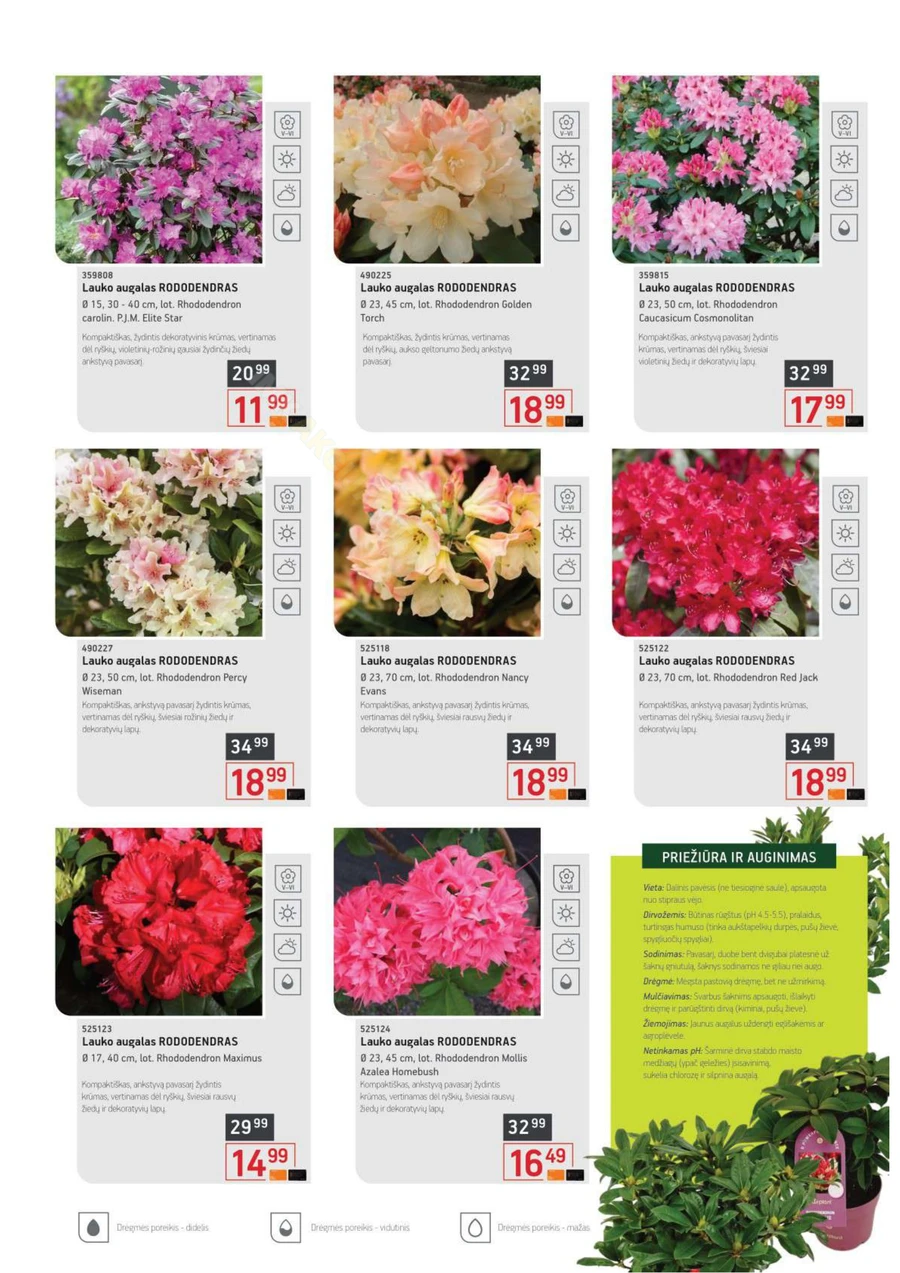 ERMITAŽAS pavasario katalogas 2026 puslapis 13