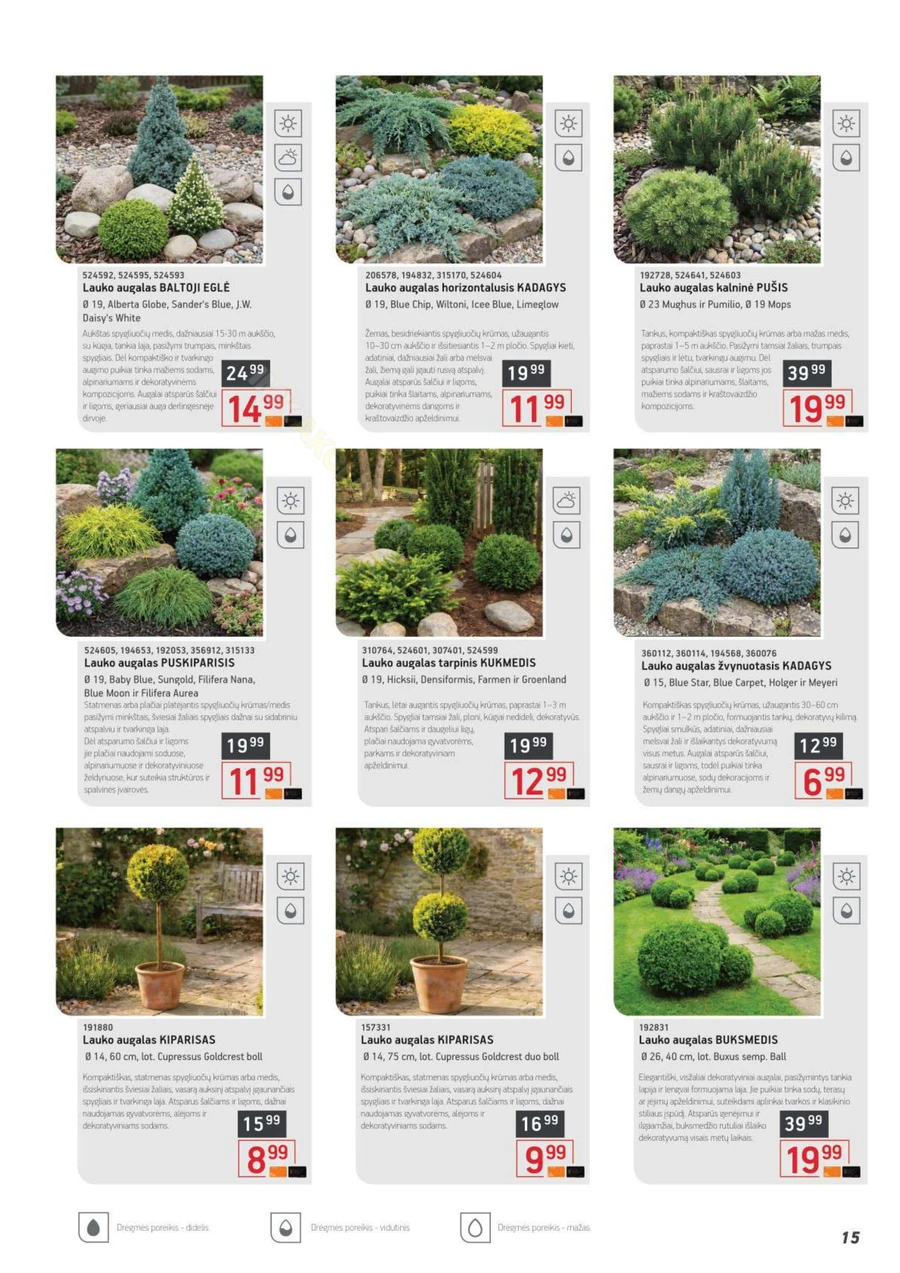 ERMITAŽAS pavasario katalogas 2026 puslapis 15