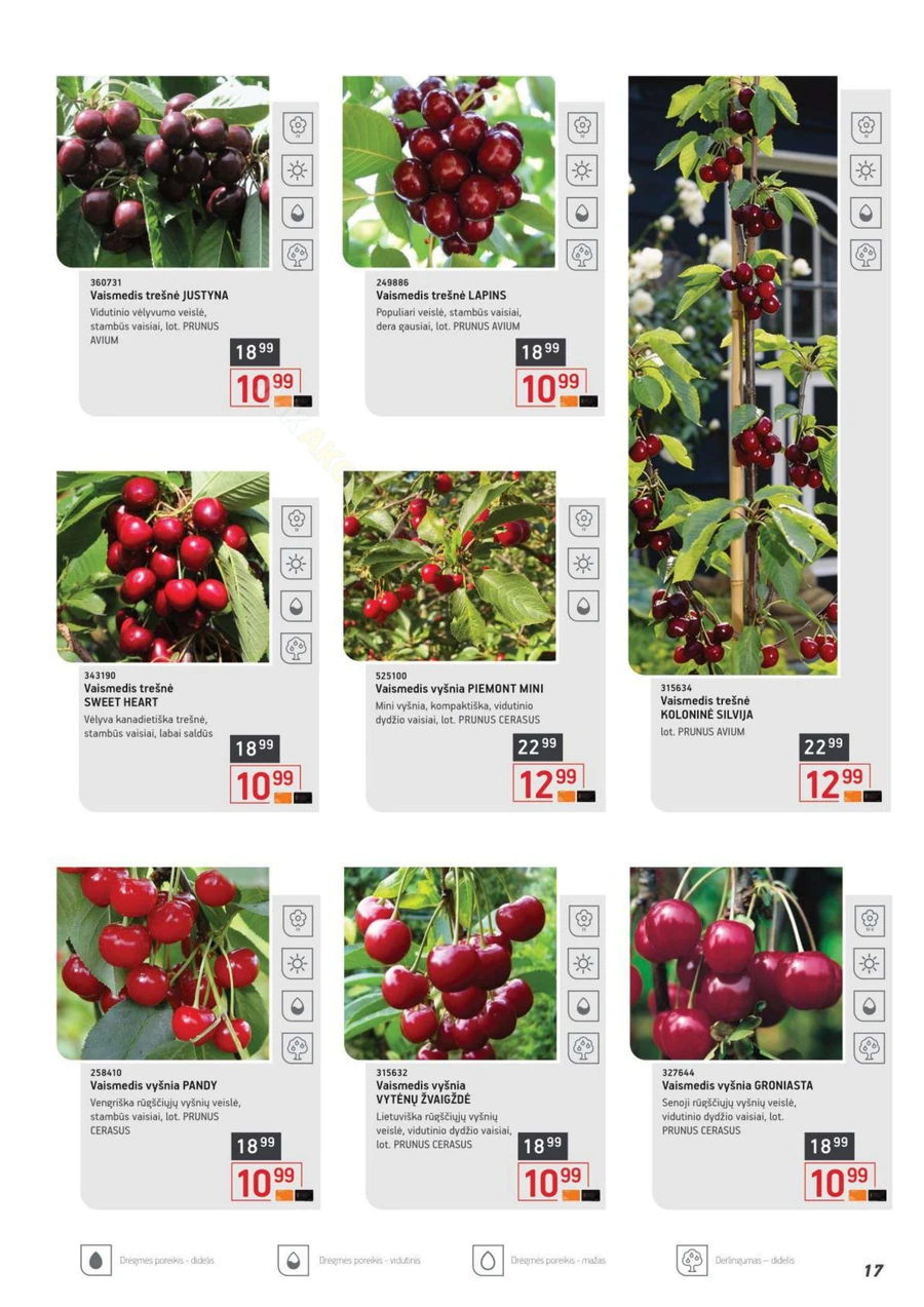 ERMITAŽAS pavasario katalogas 2026 puslapis 17