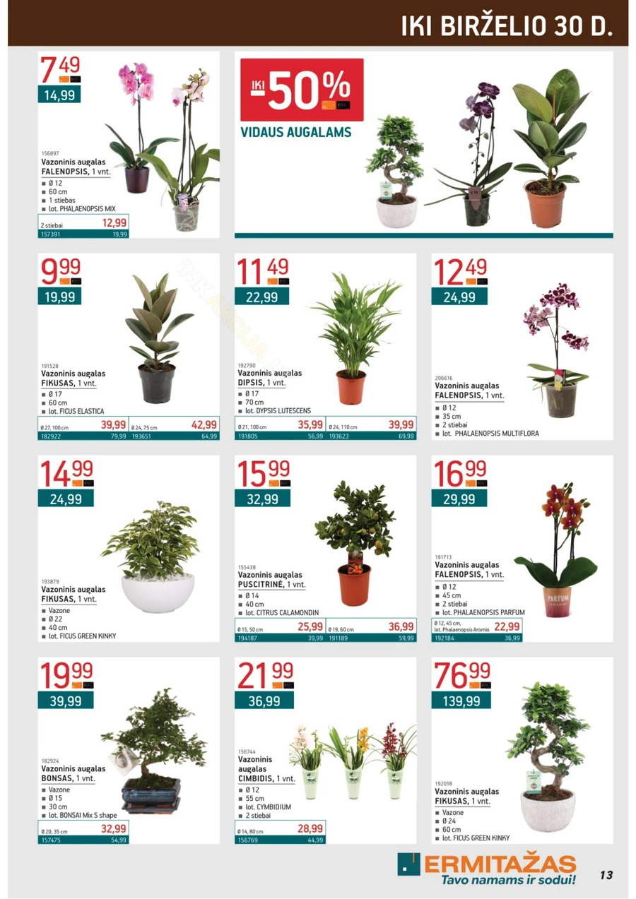 ERMITAŽAS akcijų leidinys Nr. 6 puslapis 13