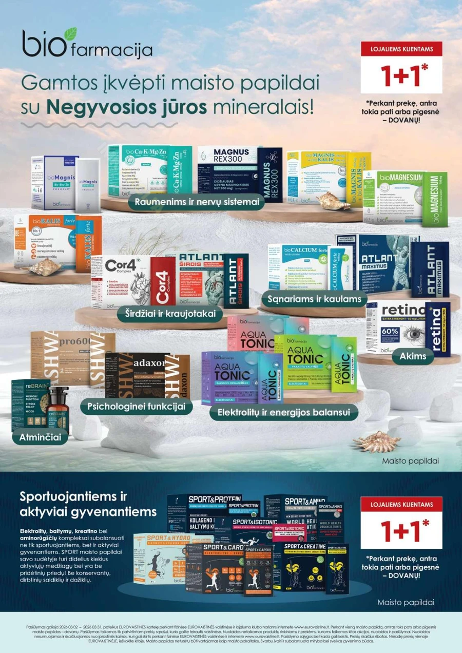 EUROVAISTINĖ akcijų leidinys puslapis 17
