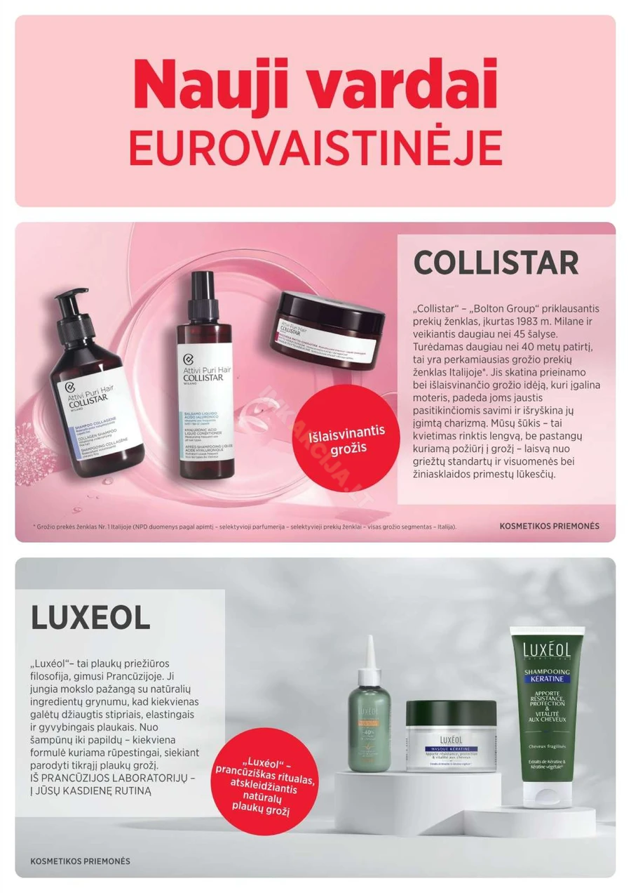 EUROVAISTINĖ akcijų leidinys puslapis 29