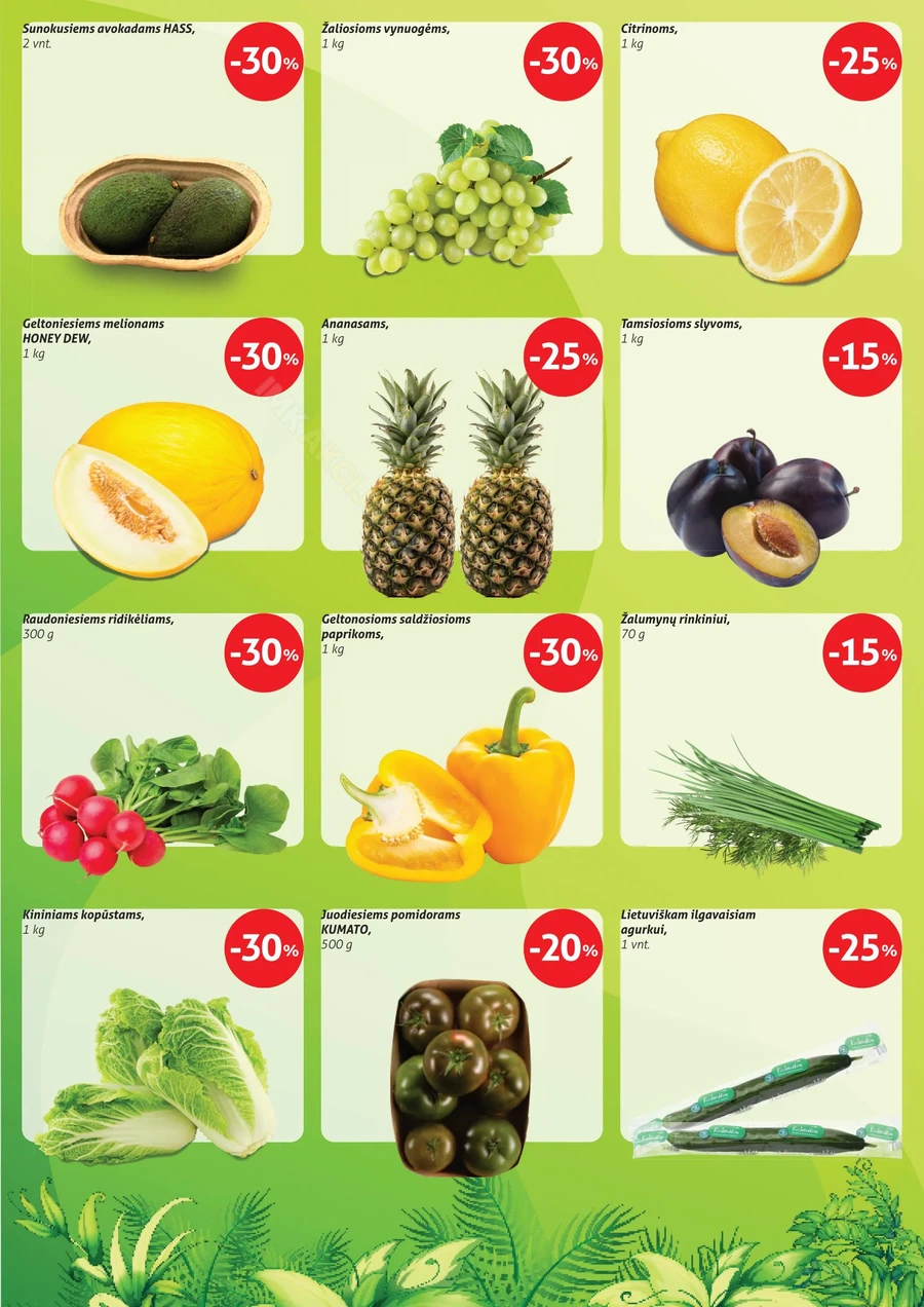 GRŪSTĖ akcijų leidinys Nr. 17 puslapis 3