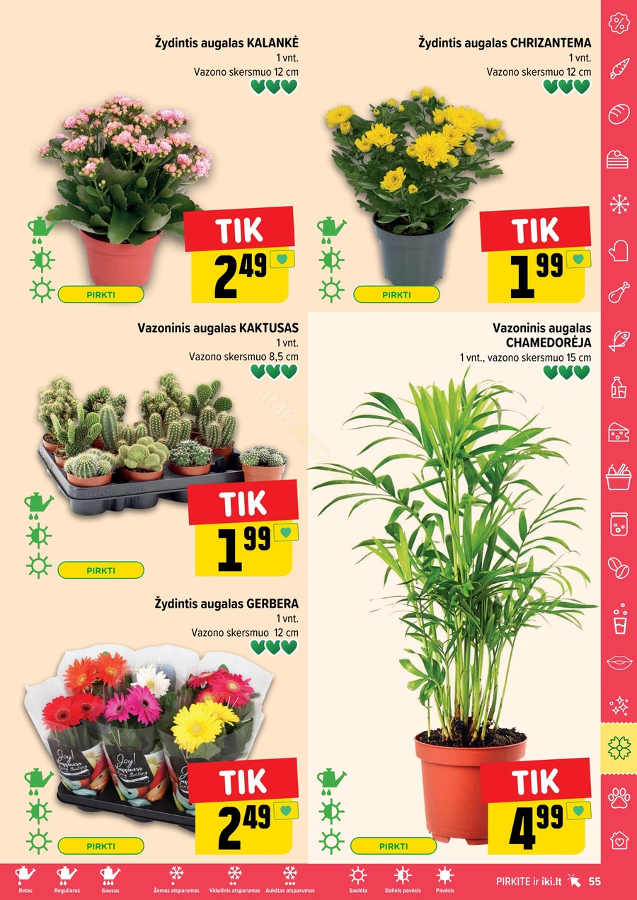IKI SAVAITĖLĖ akcijų leidinys Nr. 24 puslapis 55