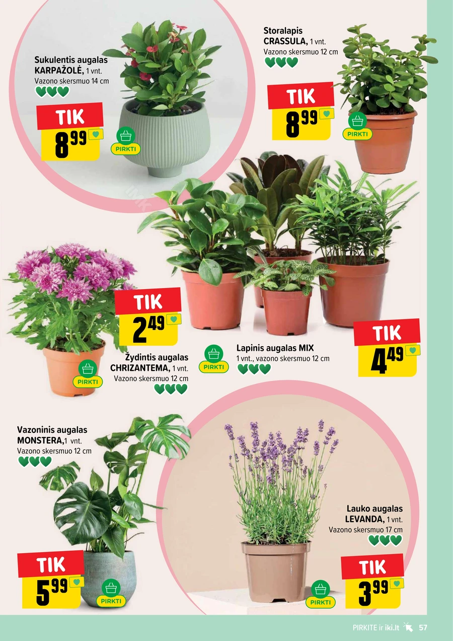 IKI SAVAITĖLĖ akcijų leidinys Nr. 25 puslapis 57