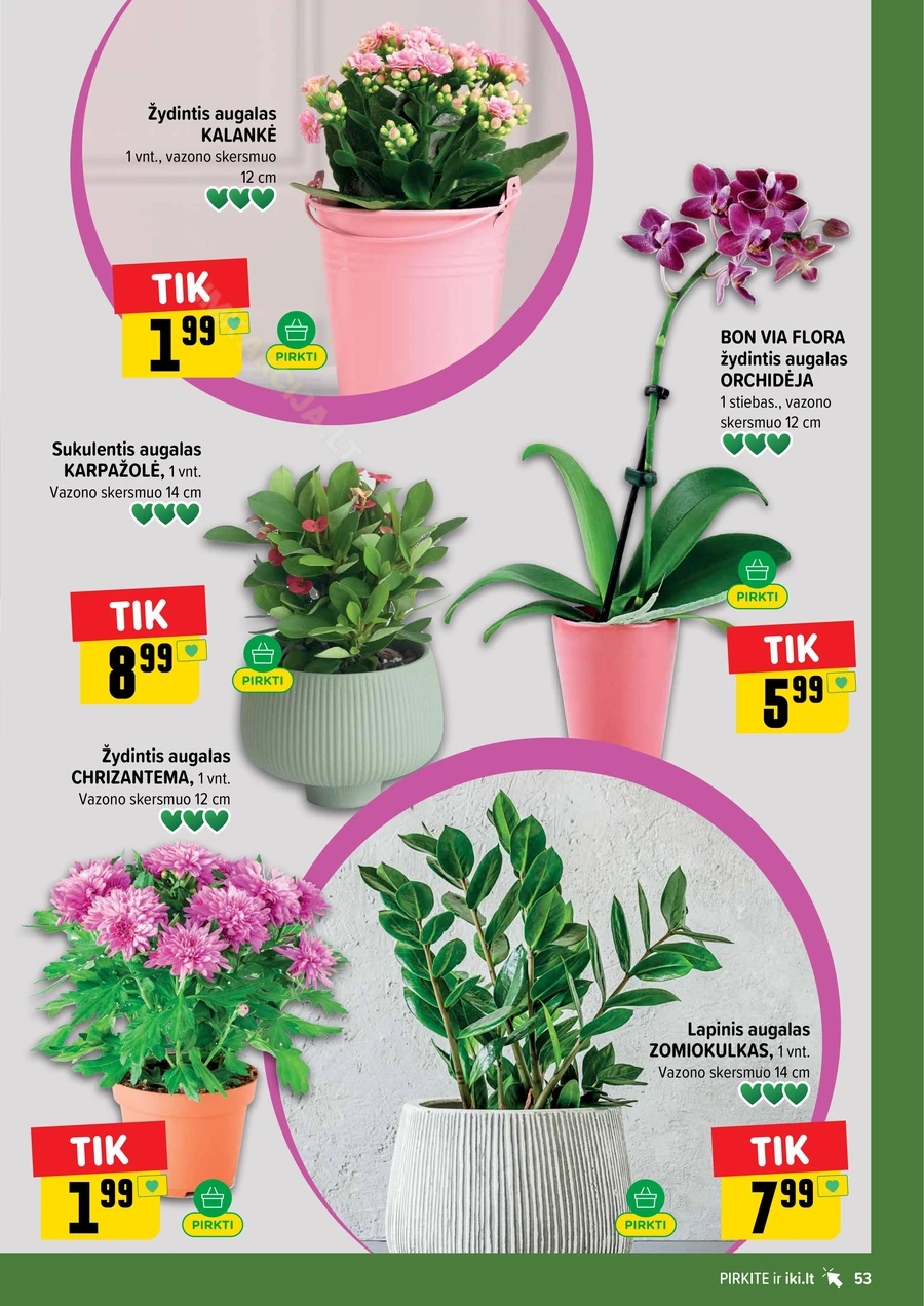 IKI SAVAITĖLĖ akcijų leidinys Nr. 28 puslapis 53