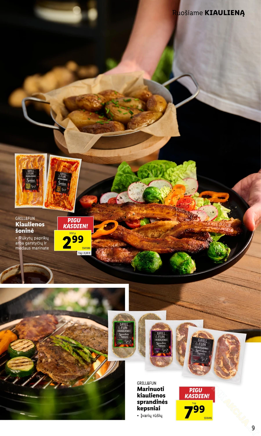 LIDL akcijų leidinys „Grill & Fun“ puslapis 9