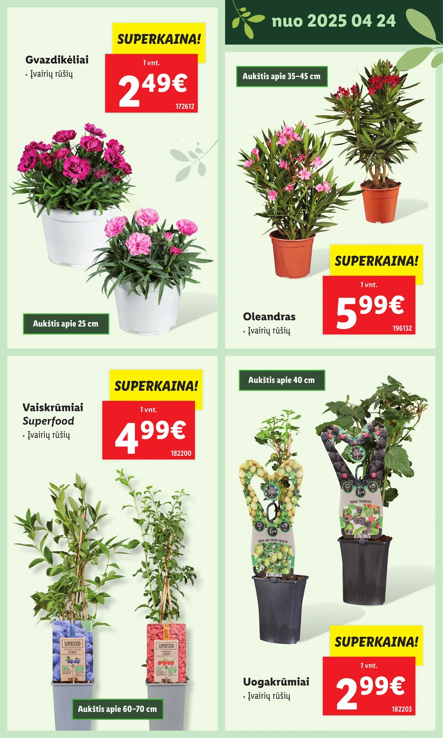 LIDL leidinys „Švenčiame sodą” puslapis 11