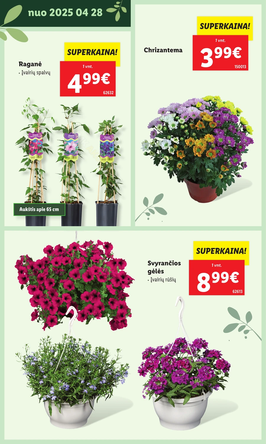 LIDL leidinys „Švenčiame sodą” puslapis 22