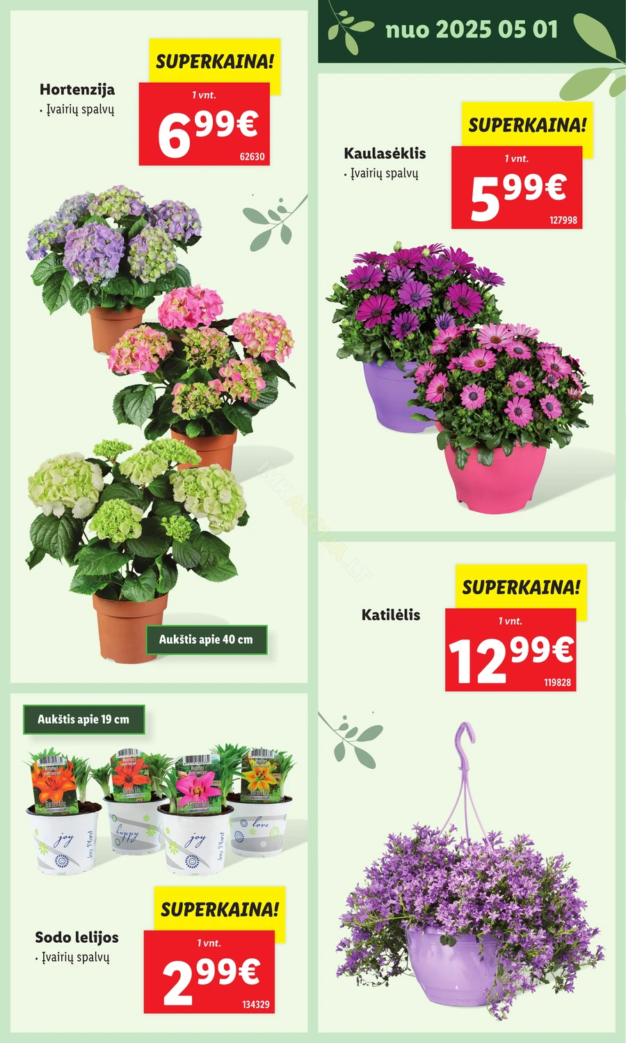 LIDL leidinys „Švenčiame sodą” puslapis 23