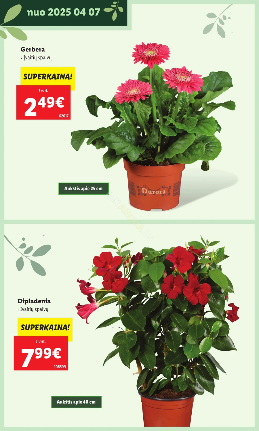 LIDL leidinys „Švenčiame sodą” puslapis 28