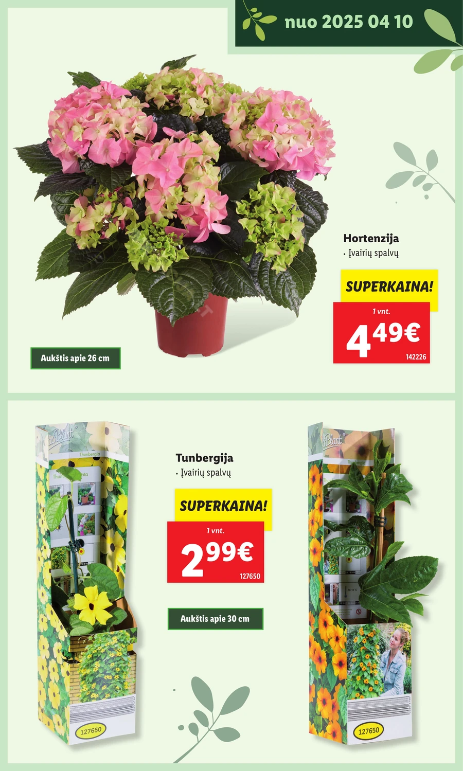 LIDL leidinys „Švenčiame sodą” puslapis 29
