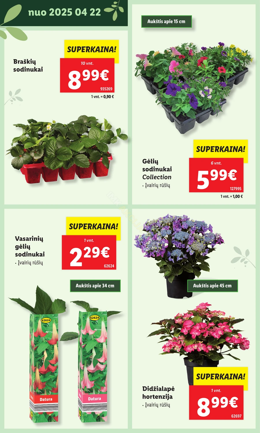 LIDL leidinys „Švenčiame sodą” puslapis 10