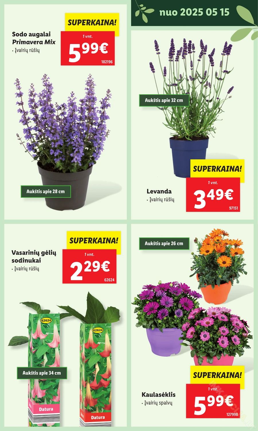 LIDL leidinys „Švenčiame sodą” puslapis 11