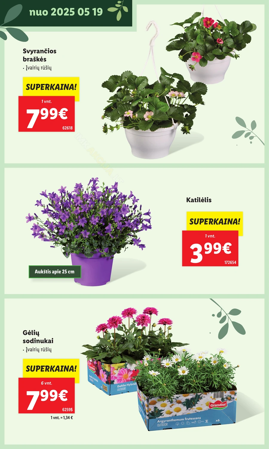 LIDL leidinys „Švenčiame sodą” puslapis 16