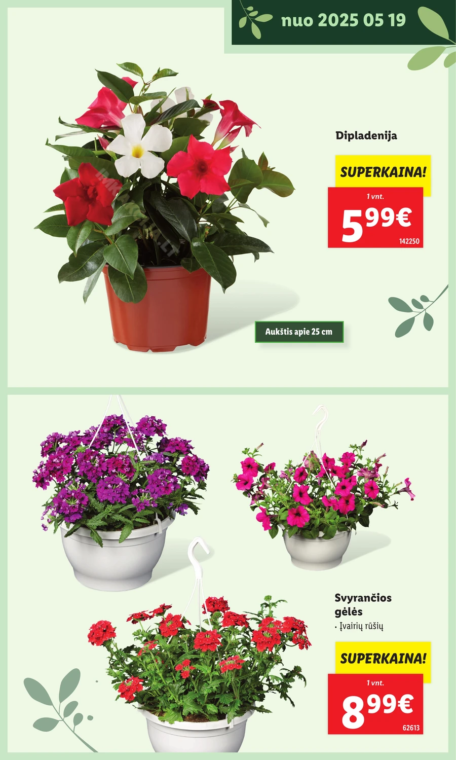 LIDL leidinys „Švenčiame sodą” puslapis 17