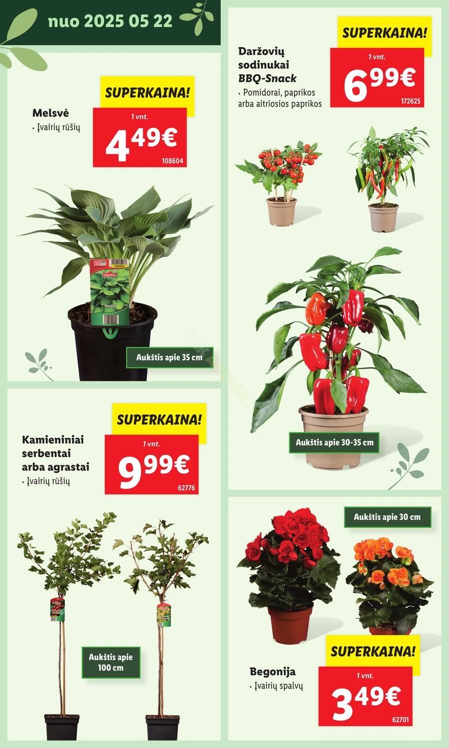 LIDL leidinys „Švenčiame sodą” puslapis 22