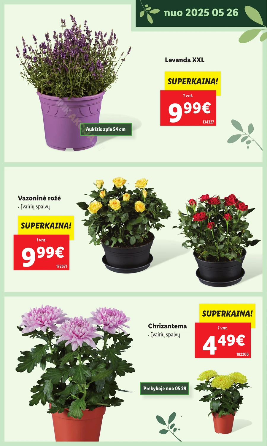 LIDL leidinys „Švenčiame sodą” puslapis 23
