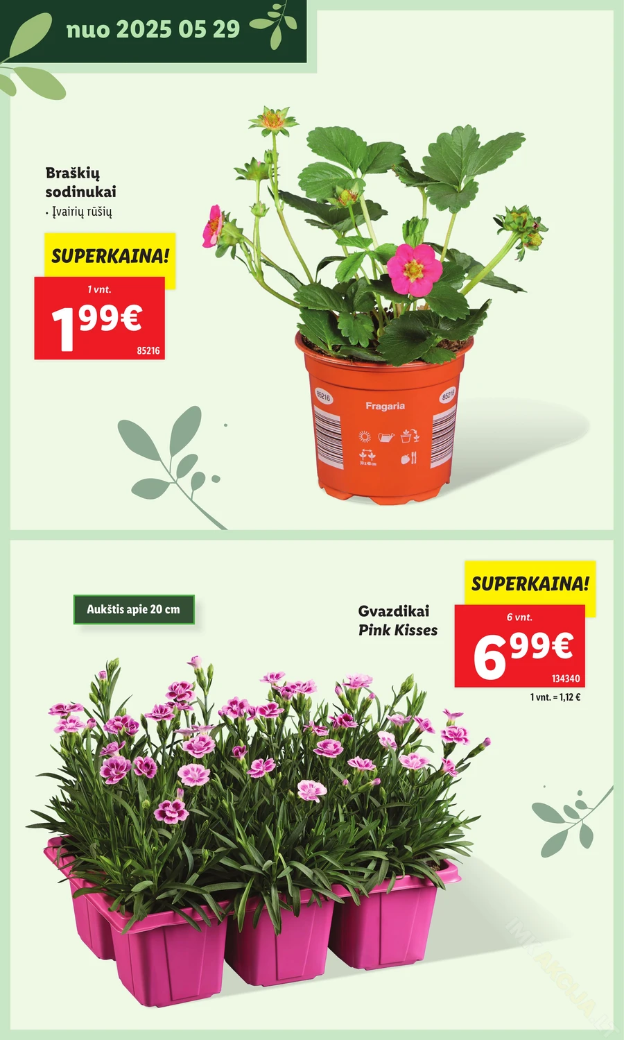 LIDL leidinys „Švenčiame sodą” puslapis 24