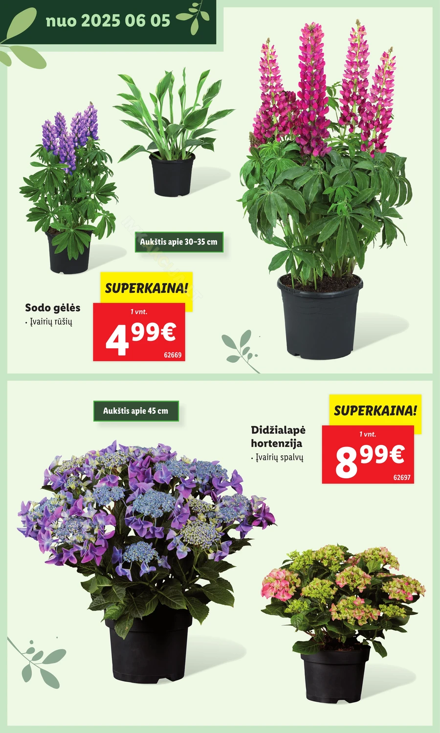 LIDL leidinys „Švenčiame sodą” puslapis 26