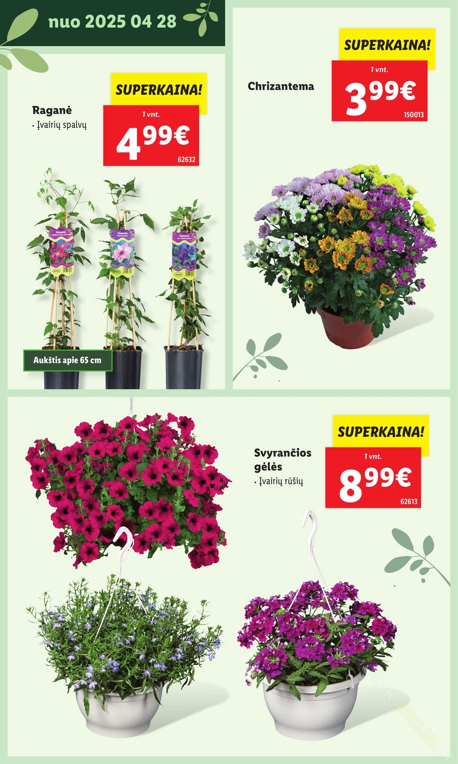 LIDL leidinys „Švenčiame sodą” puslapis 34