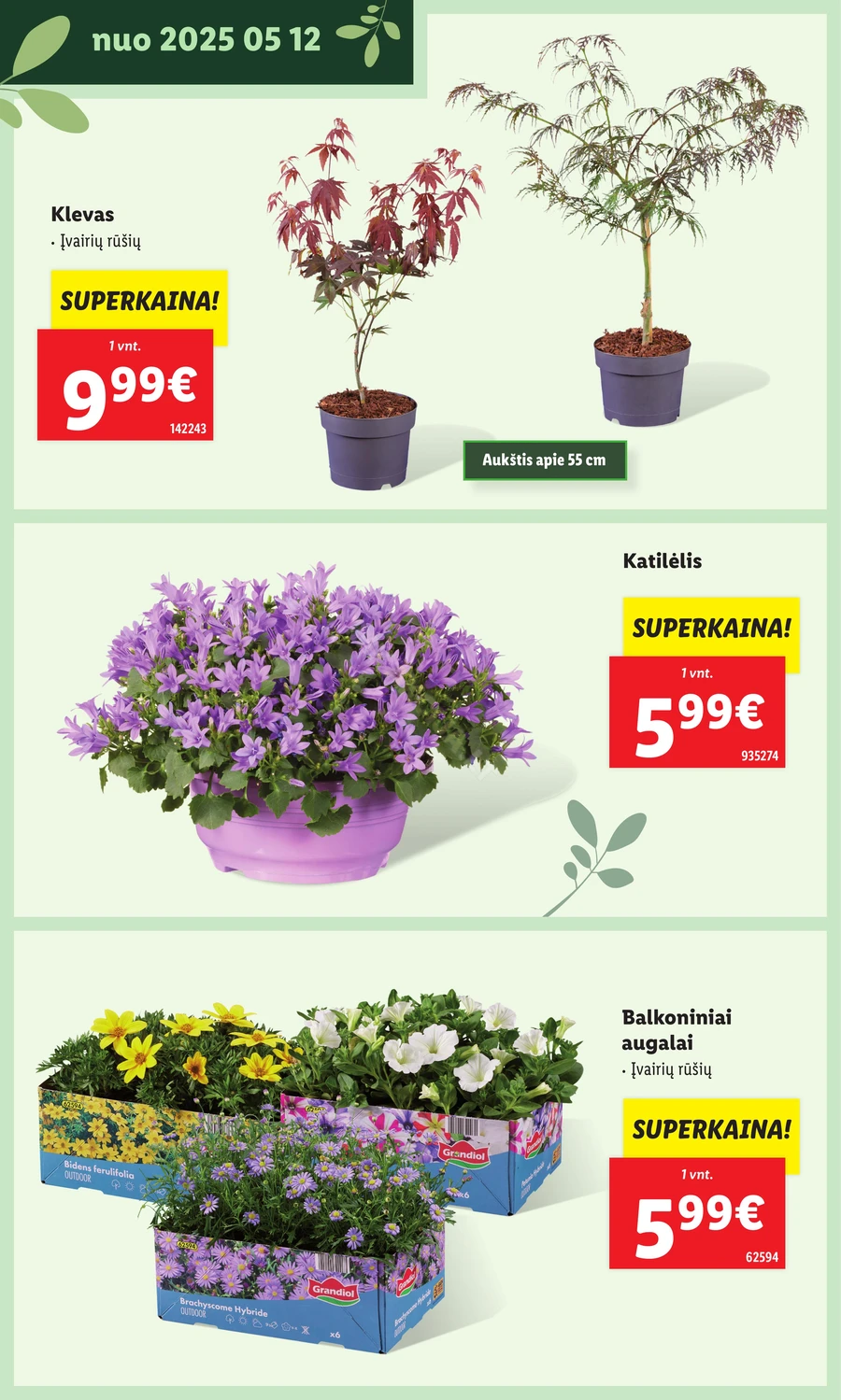 LIDL leidinys „Švenčiame sodą” puslapis 10