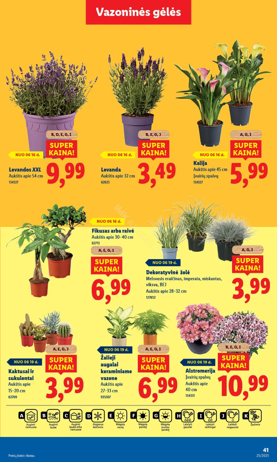 LIDL maisto prekių akcijų leidinys nuo ketvirtadienio puslapis 53