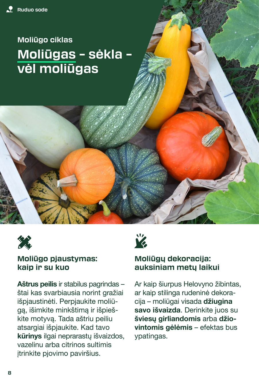 LIDL leidinys „Parkside 2025 m.” puslapis 8