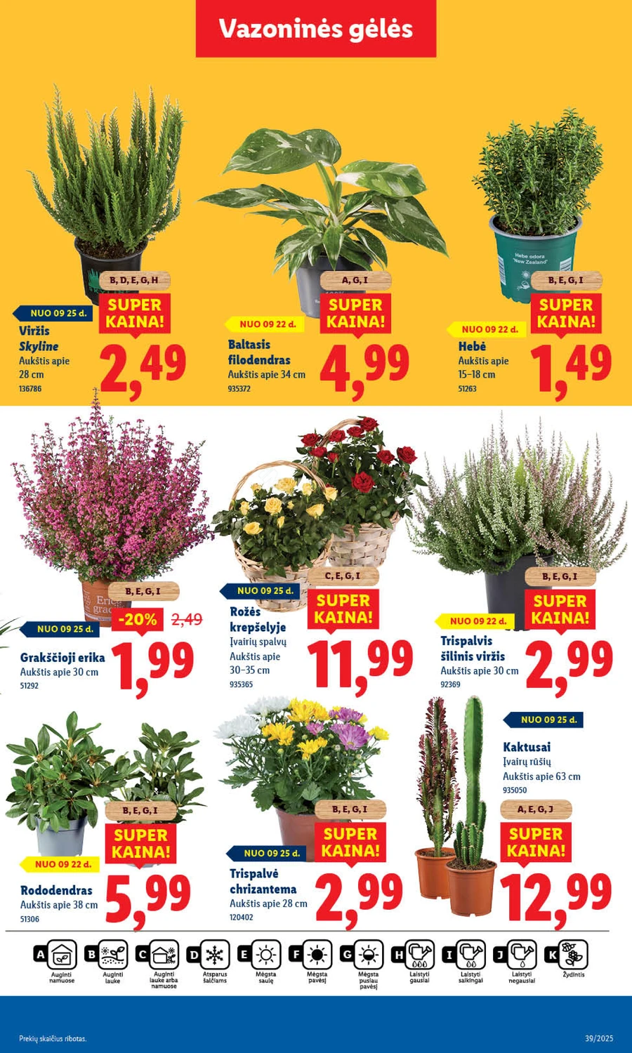 LIDL maisto prekių akcijų leidinys nuo ketvirtadienio puslapis 53