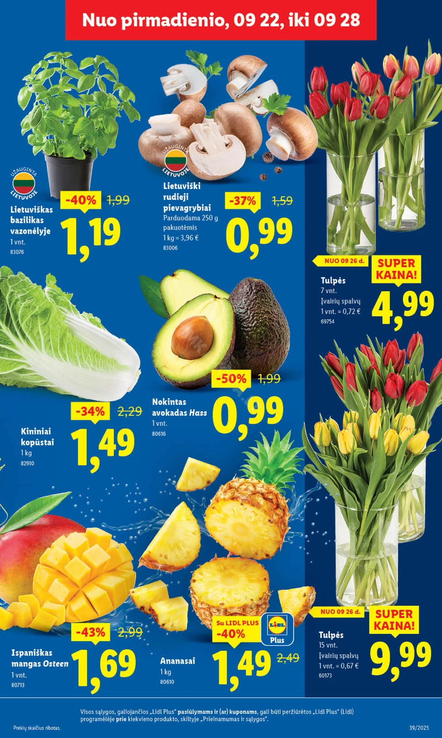 LIDL maisto prekių akcijų leidinys nuo ketvirtadienio puslapis 9