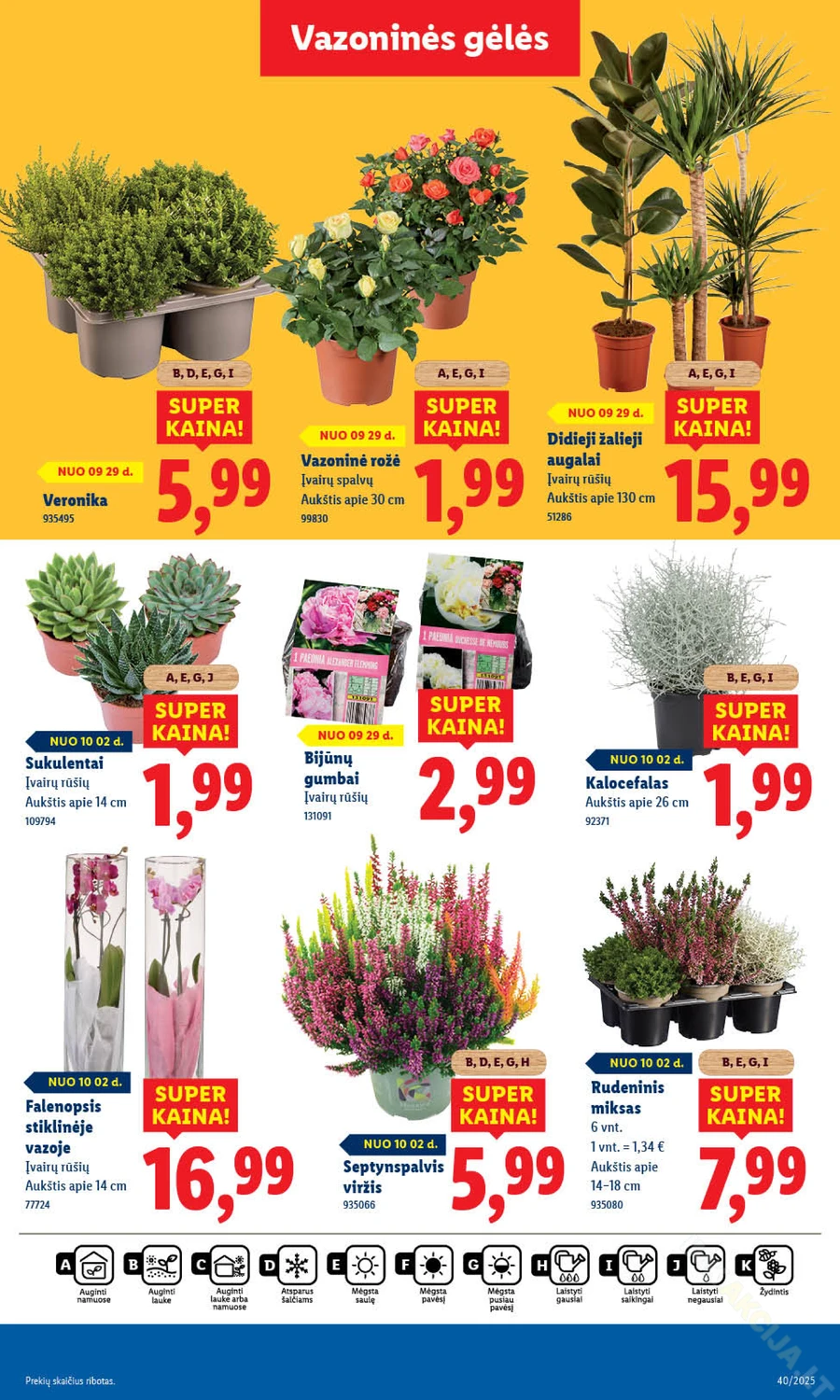 LIDL maisto prekių akcijų leidinys puslapis 43