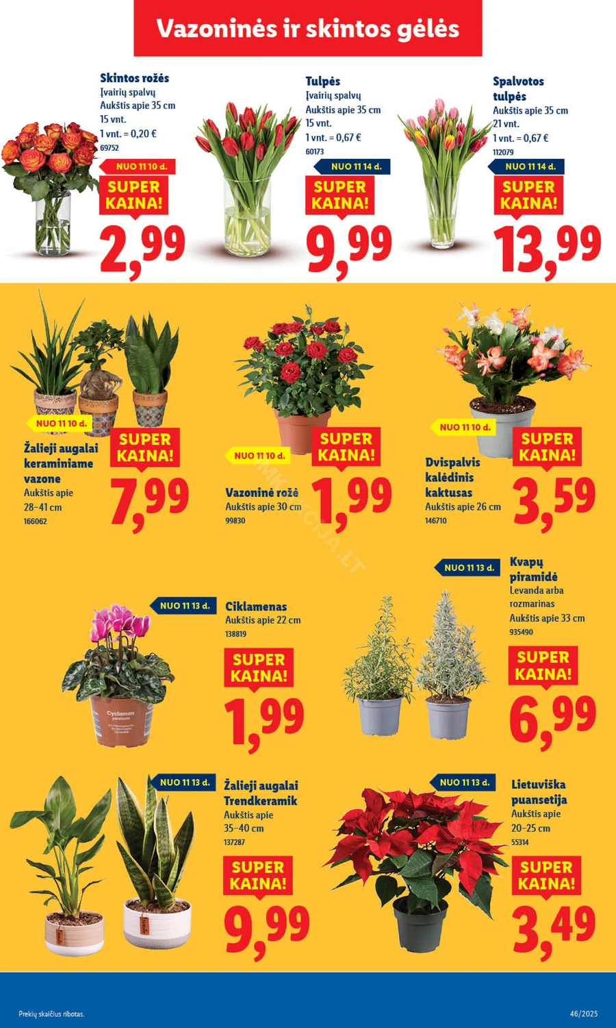 LIDL maisto prekių akcijų leidinys nuo ketvirtadienio puslapis 45