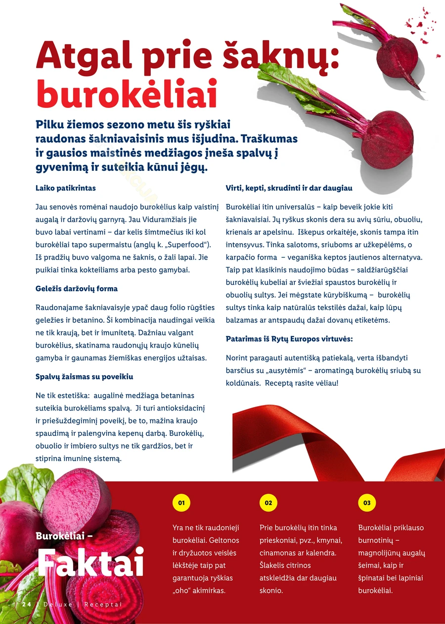 LIDL leidinys „Kalėdų stalui” puslapis 24