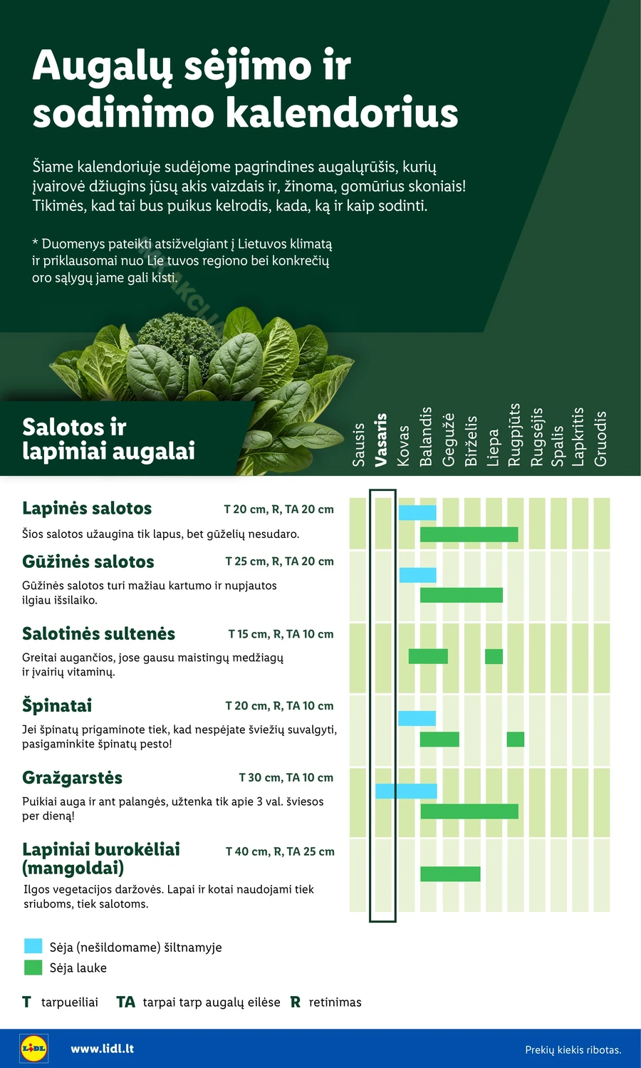 LIDL akcijų leidinys „Sodui valio!“ puslapis 4