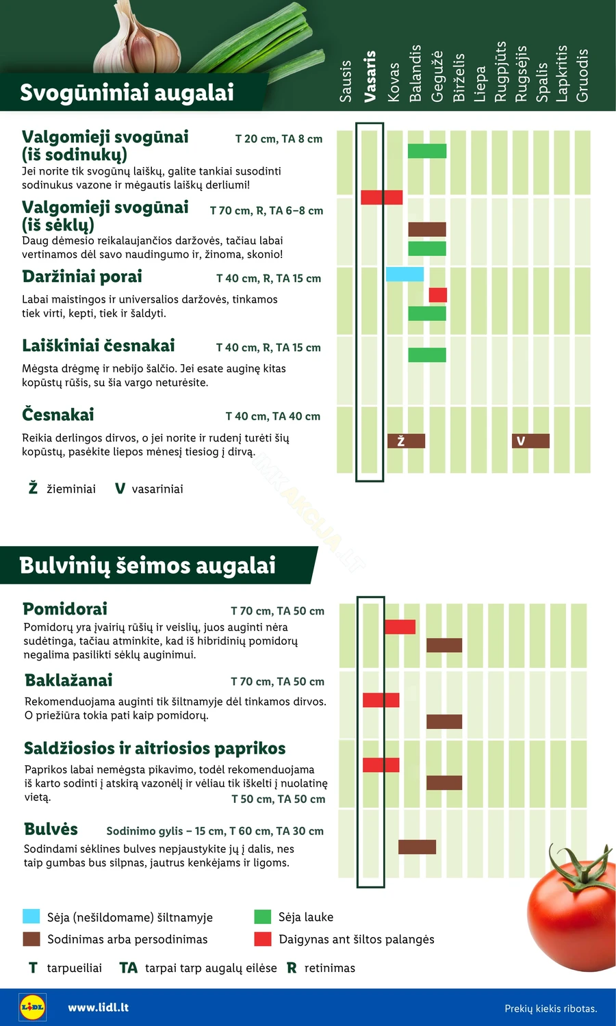 LIDL akcijų leidinys „Sodui valio!“ puslapis 6