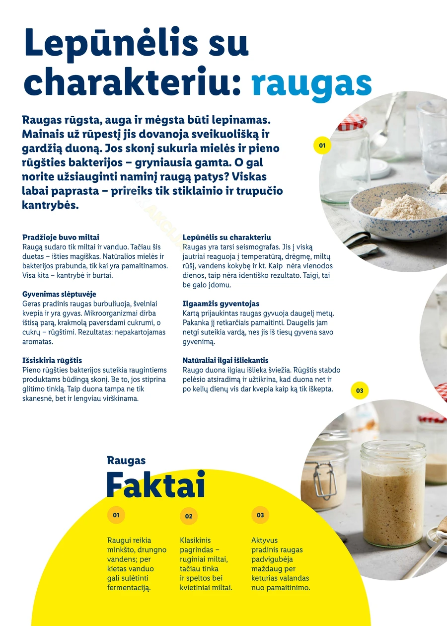 LIDL katalogas „Velykos, pilnos džiaugsmo“ puslapis 38