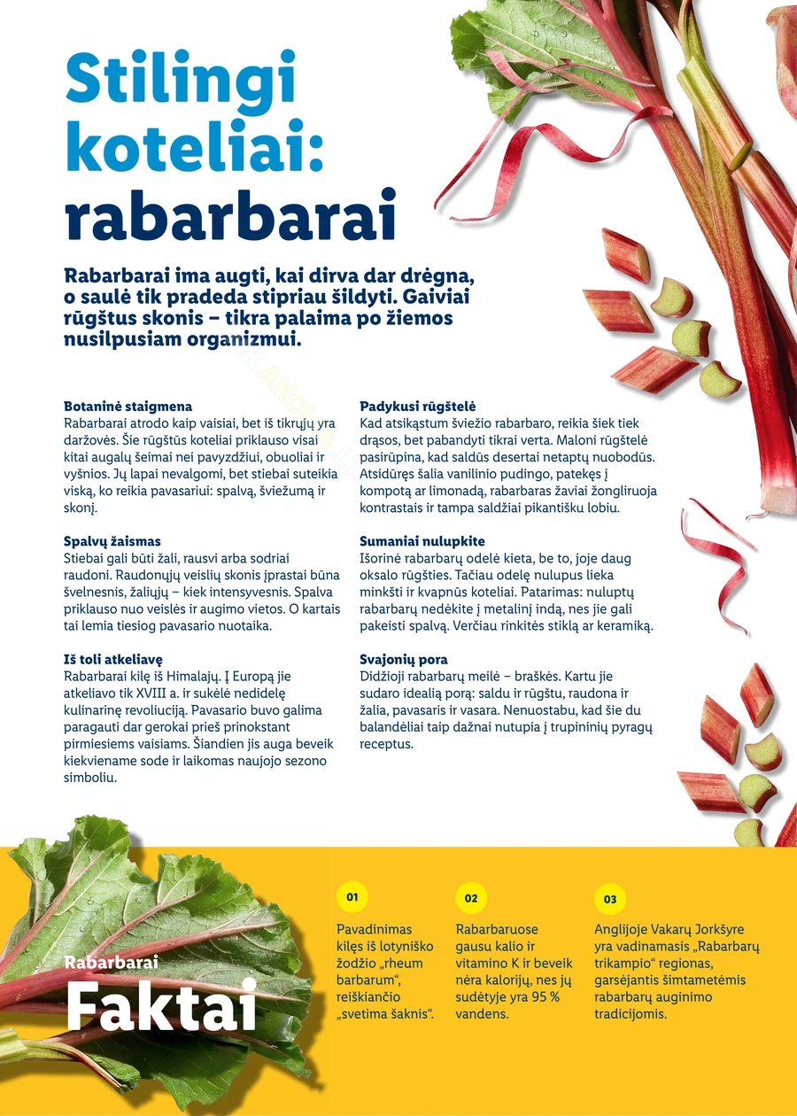 LIDL katalogas „Velykos, pilnos džiaugsmo“ puslapis 66