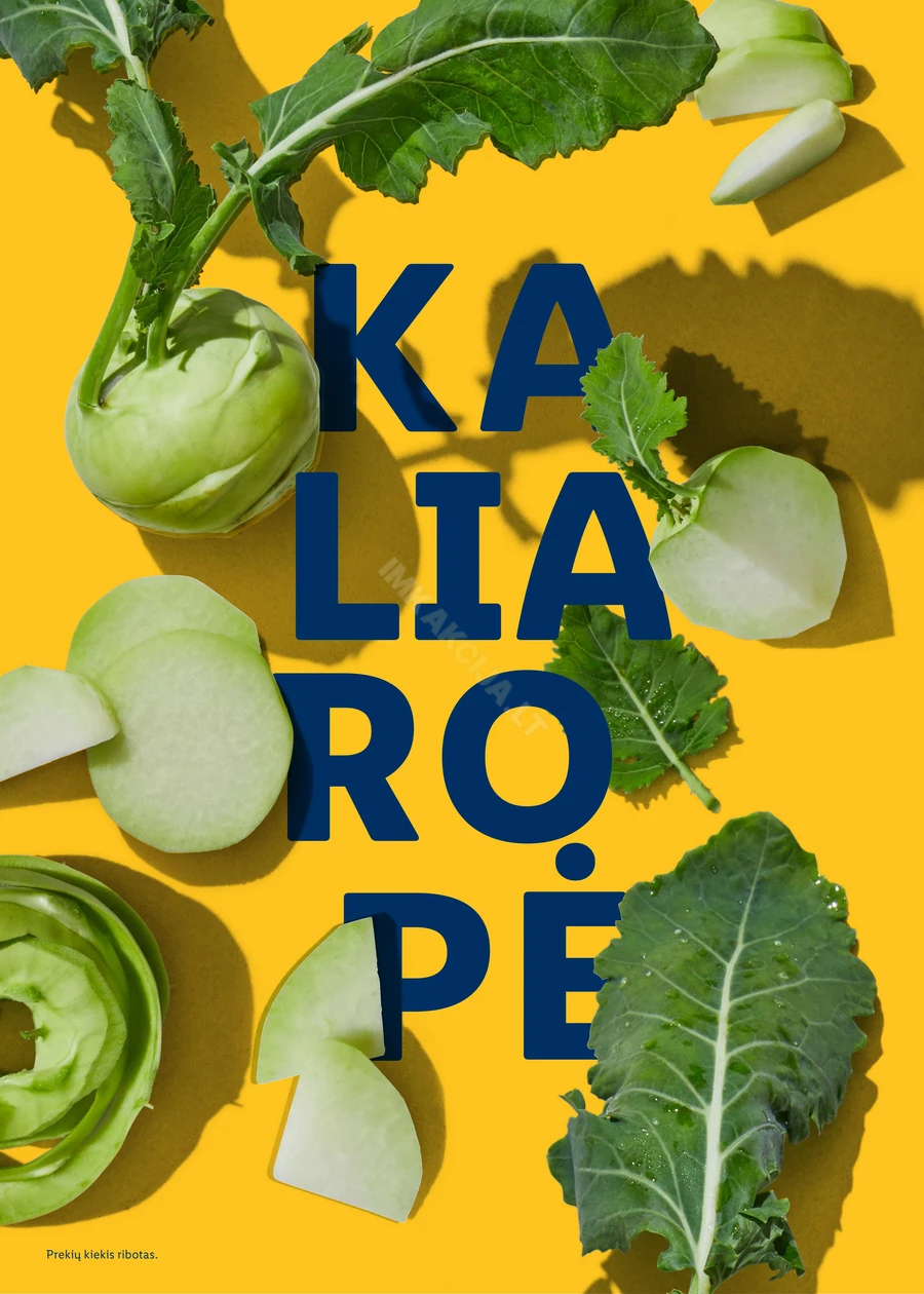 LIDL katalogas „Velykos, pilnos džiaugsmo“ puslapis 70