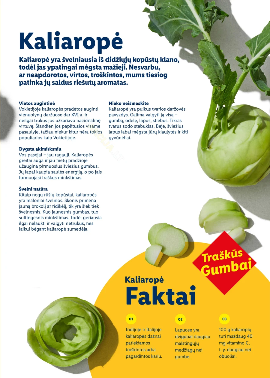 LIDL katalogas „Velykos, pilnos džiaugsmo“ puslapis 71