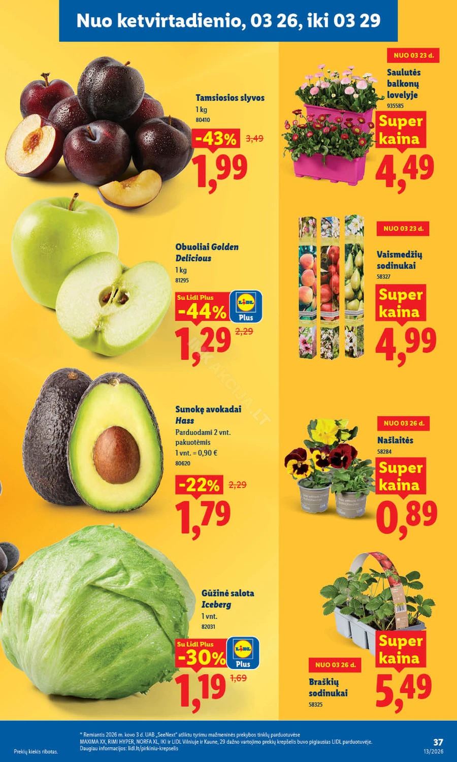 LIDL maisto prekių akcijų leidinys puslapis 31