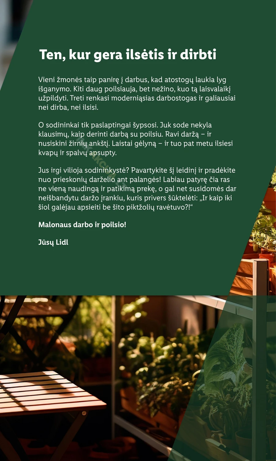 LIDL akcijų leidinys „Sodui valio!“ puslapis 2