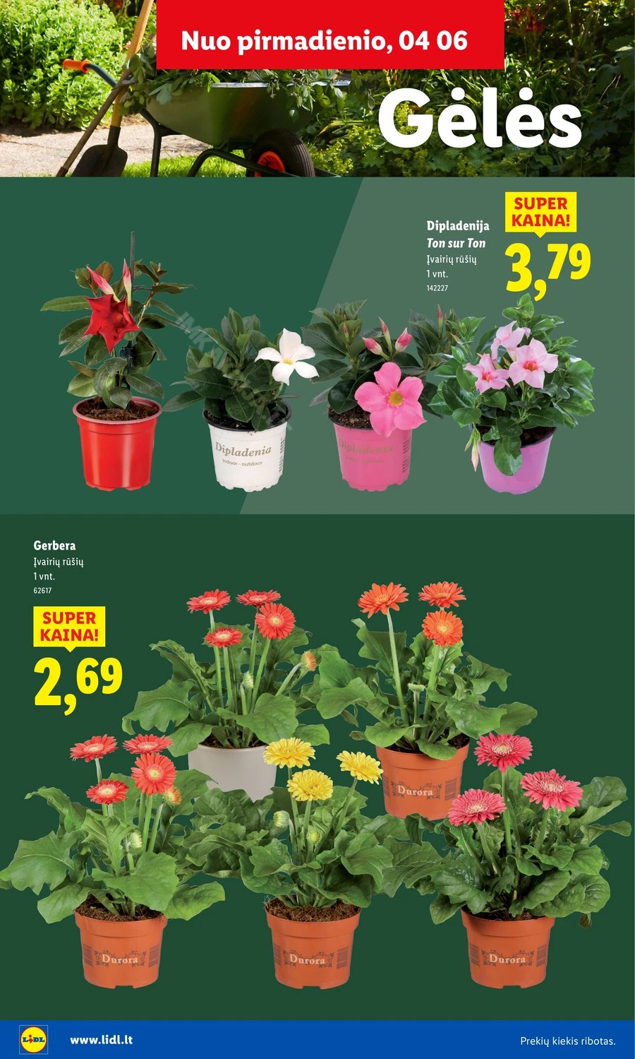 LIDL akcijų leidinys „Sodui valio!“ puslapis 14