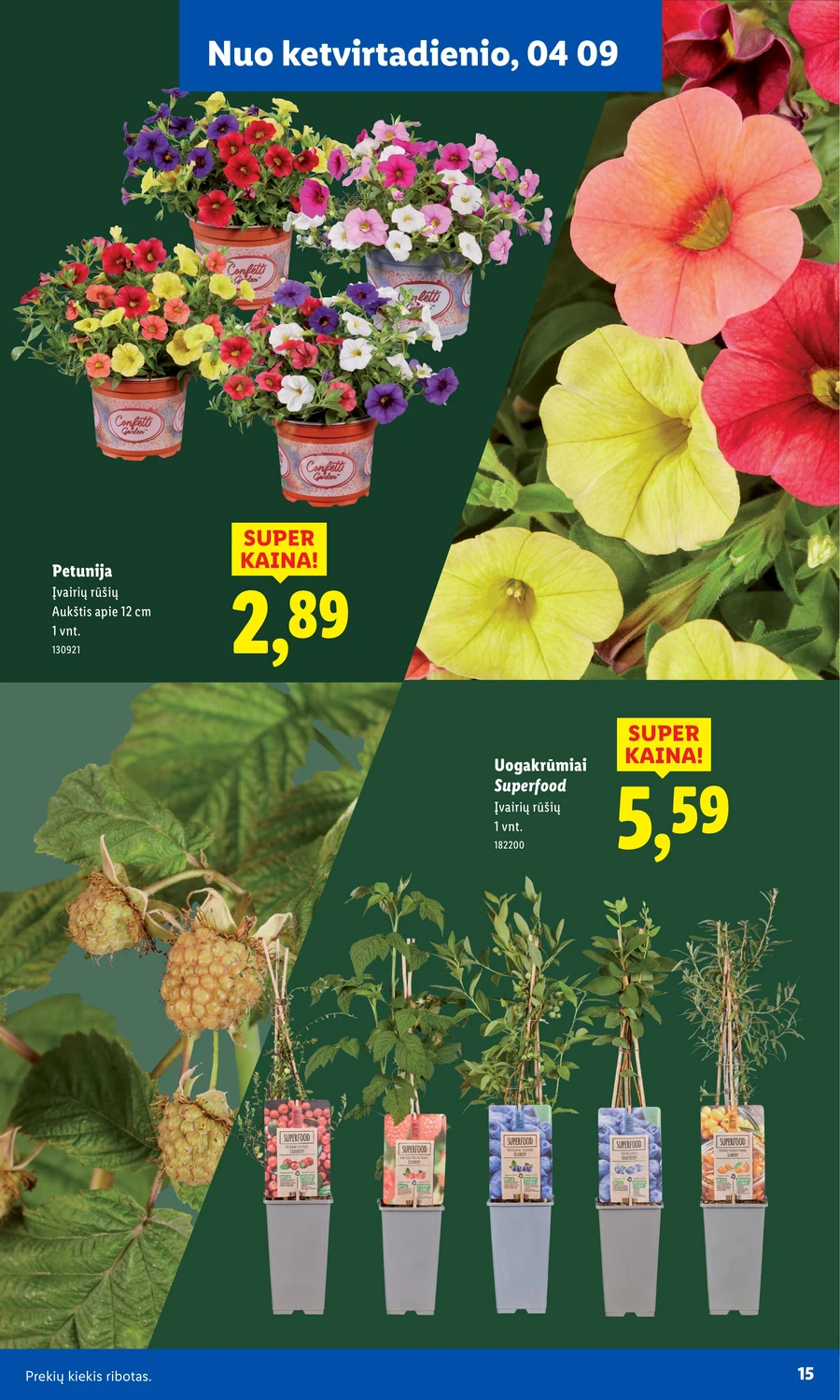 LIDL akcijų leidinys „Sodui valio!“ puslapis 15