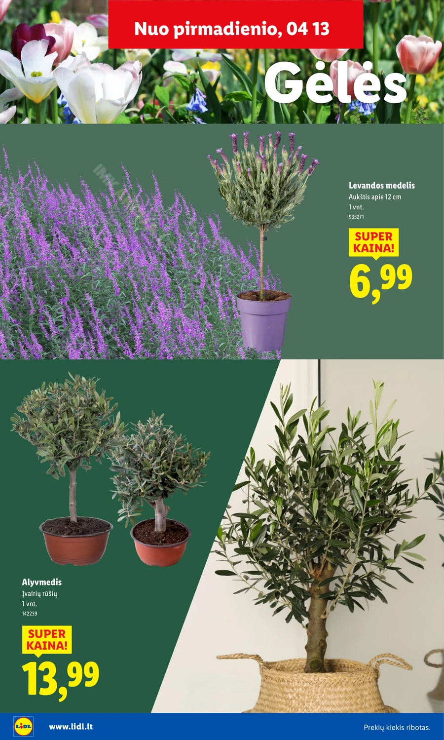 LIDL akcijų leidinys „Sodui valio!“ puslapis 22