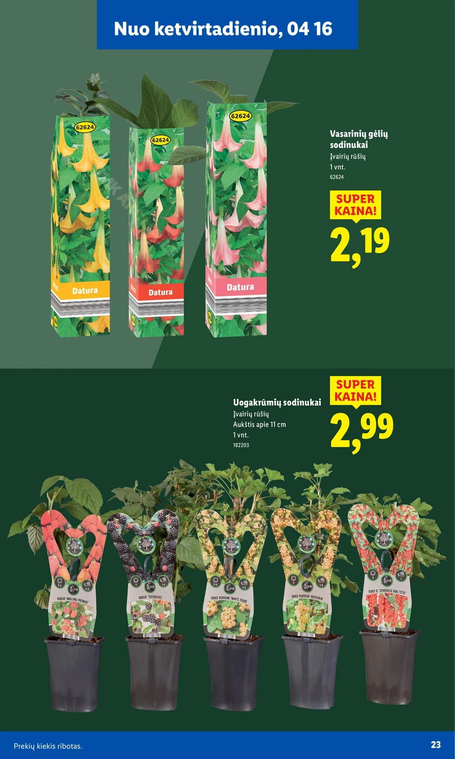 LIDL akcijų leidinys „Sodui valio!“ puslapis 23