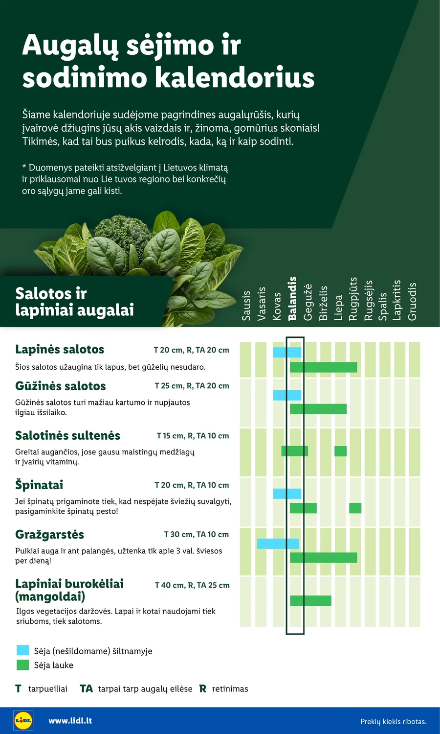 LIDL akcijų leidinys „Sodui valio!“ puslapis 4