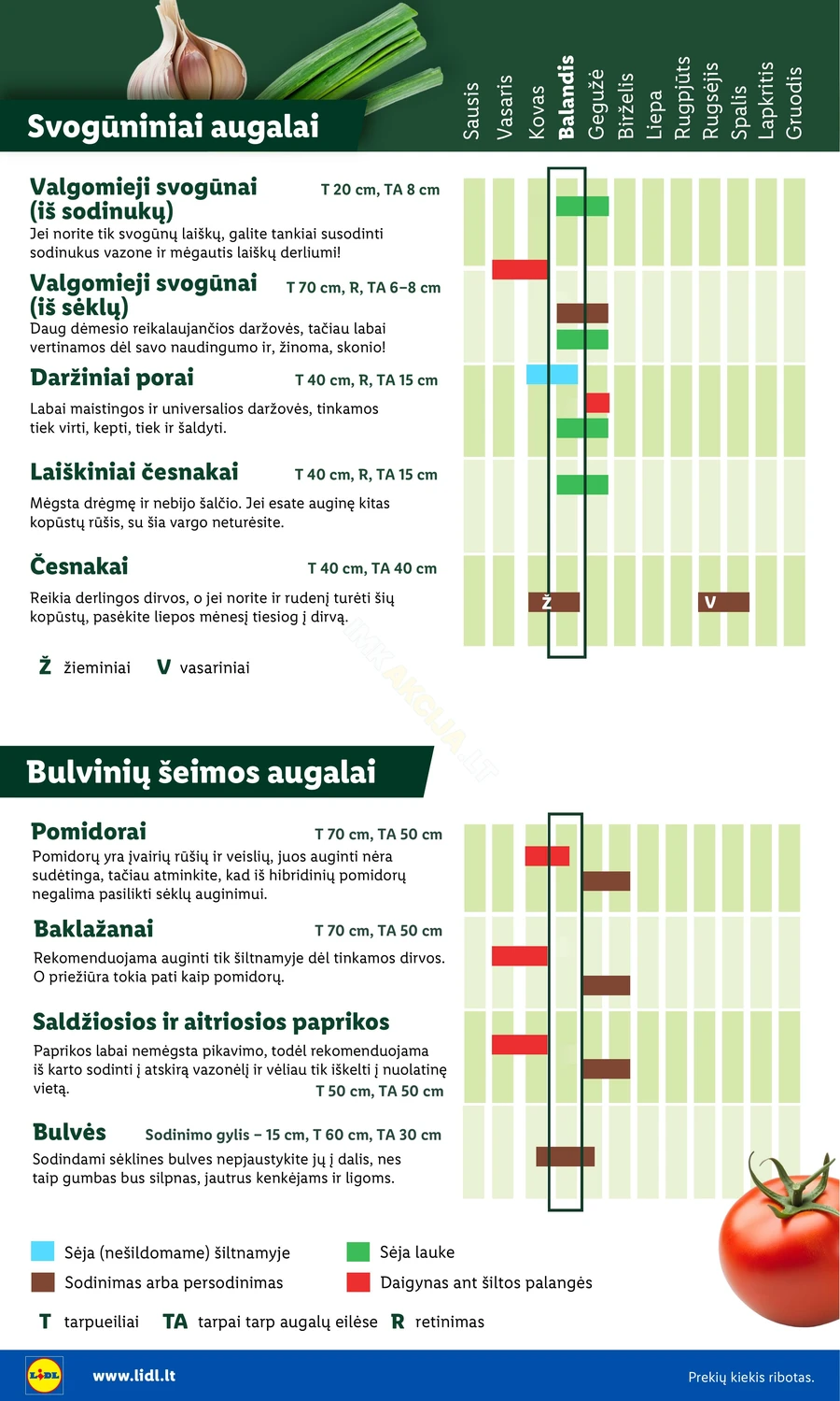 LIDL akcijų leidinys „Sodui valio!“ puslapis 6